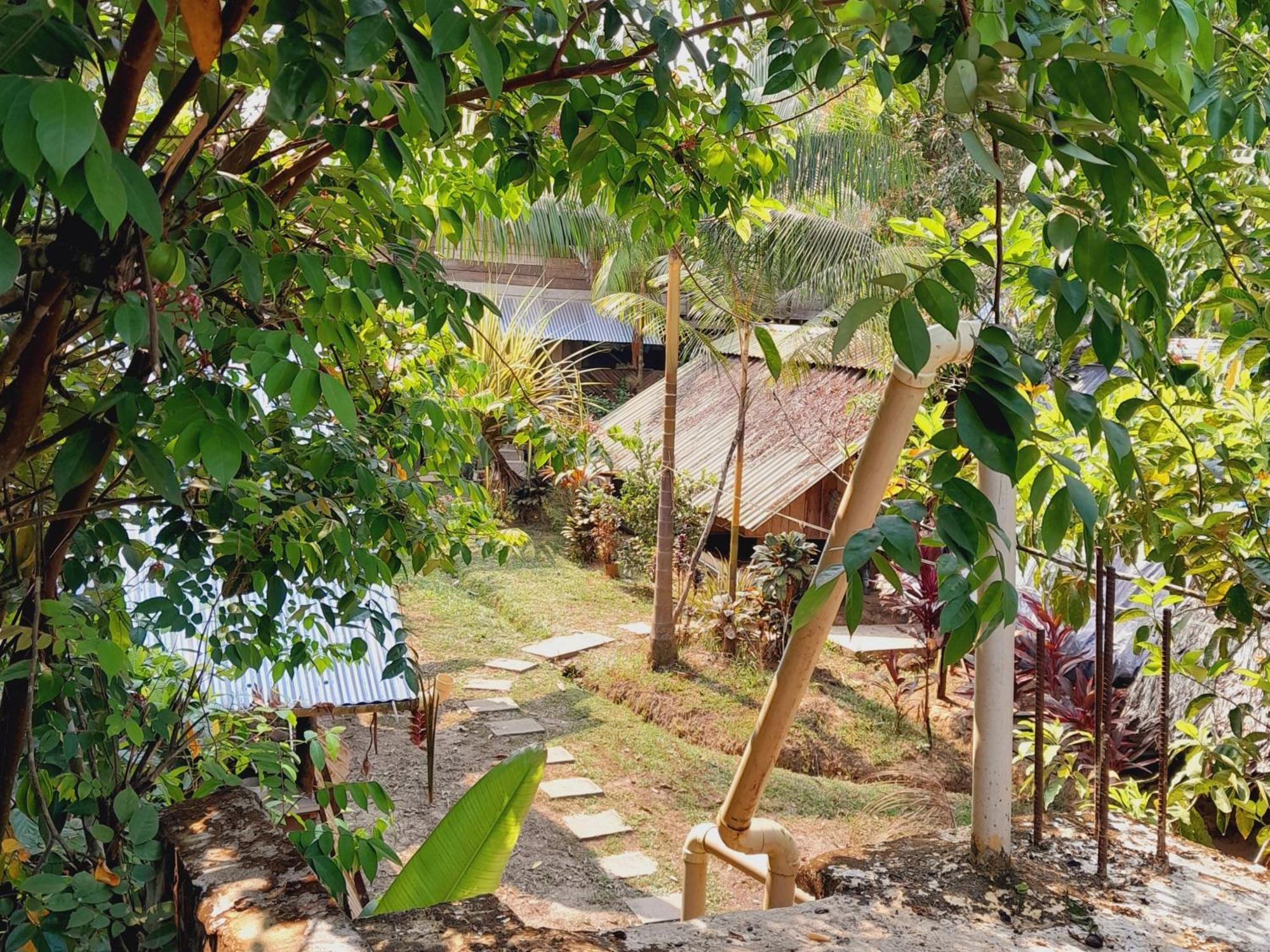 לטיסייה Xingu Camping Site מראה חיצוני תמונה