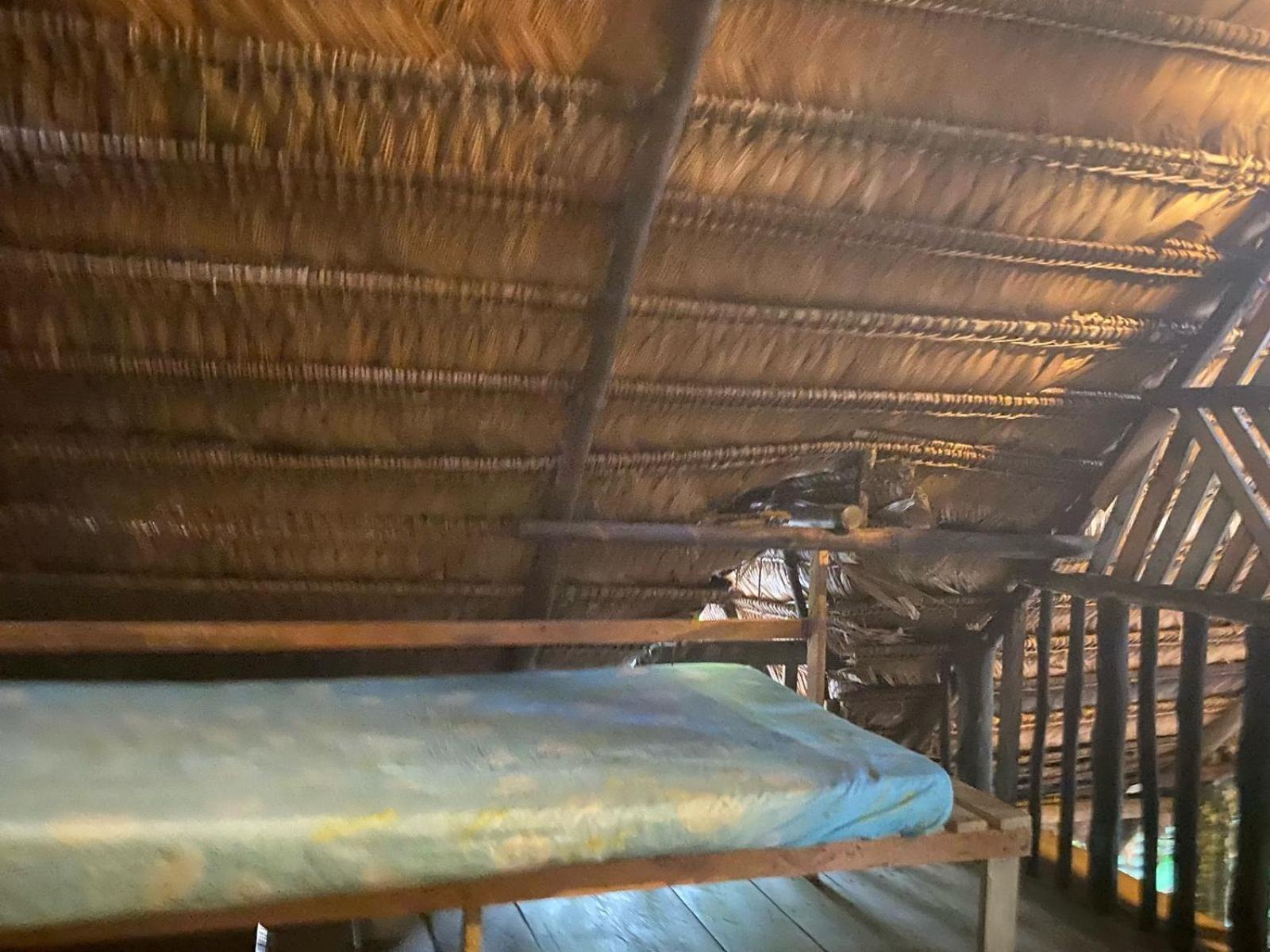 לטיסייה Xingu Camping Site מראה חיצוני תמונה