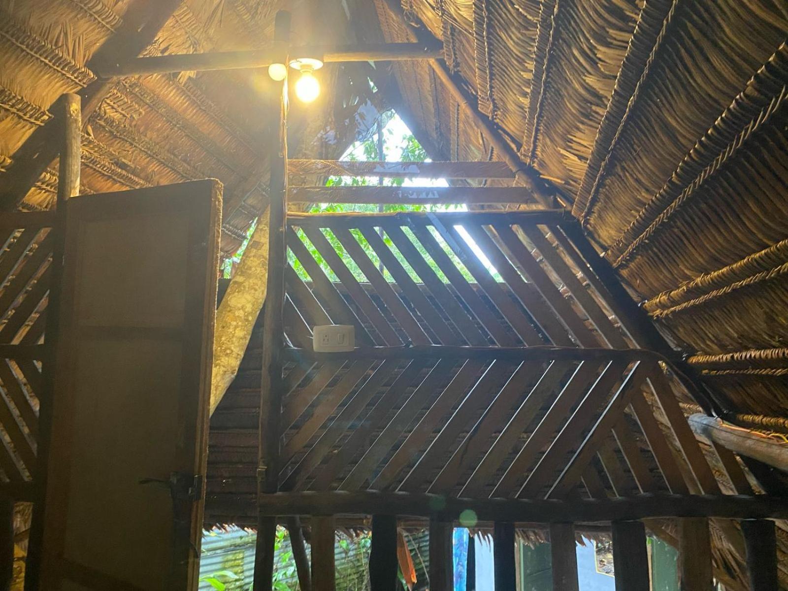 לטיסייה Xingu Camping Site מראה חיצוני תמונה