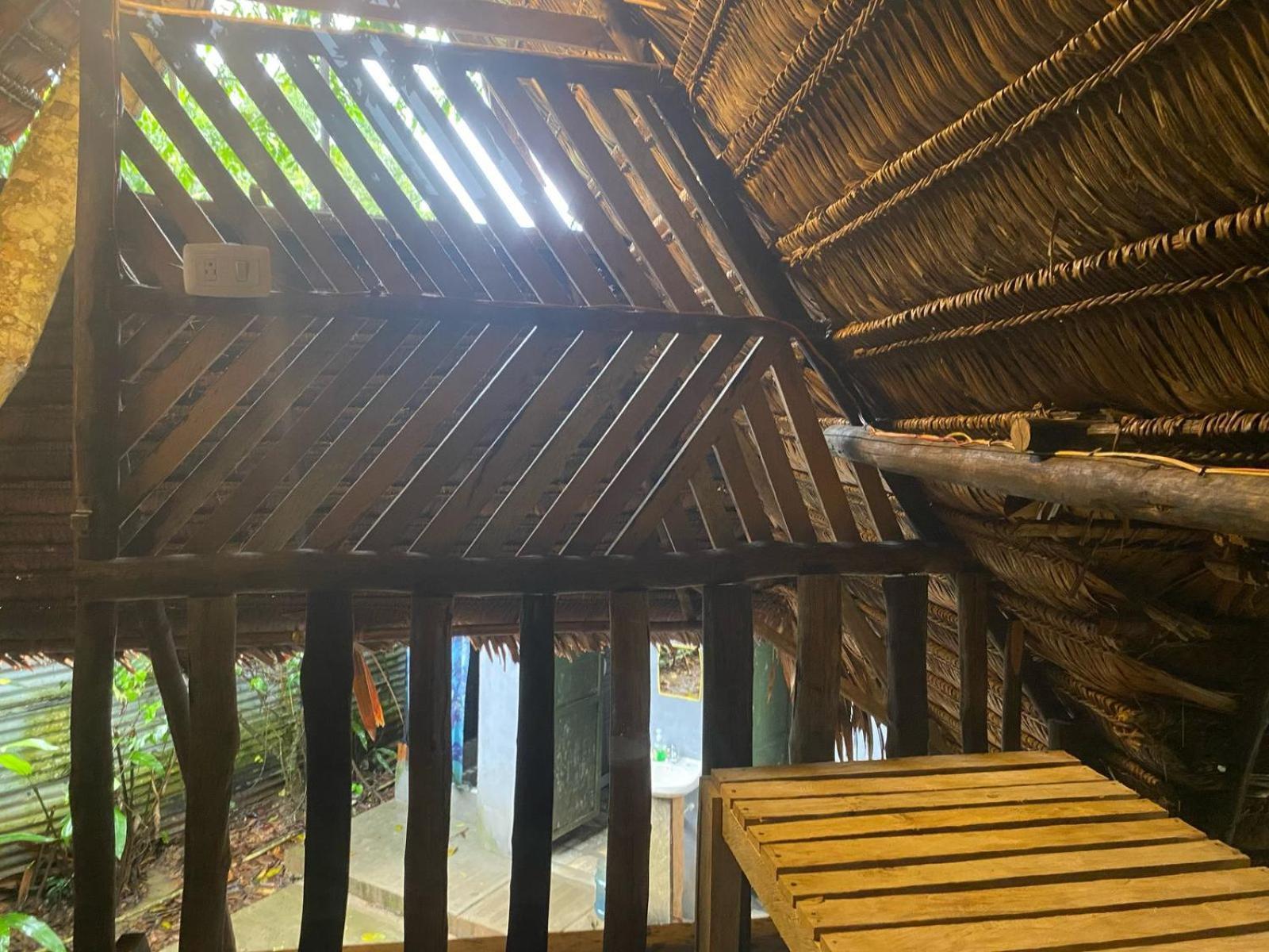לטיסייה Xingu Camping Site מראה חיצוני תמונה
