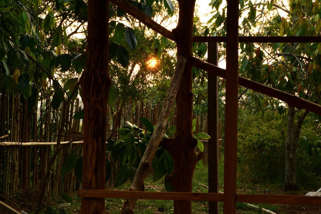 לטיסייה Xingu Camping Site מראה חיצוני תמונה
