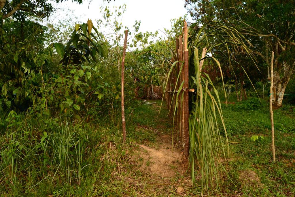 לטיסייה Xingu Camping Site מראה חיצוני תמונה