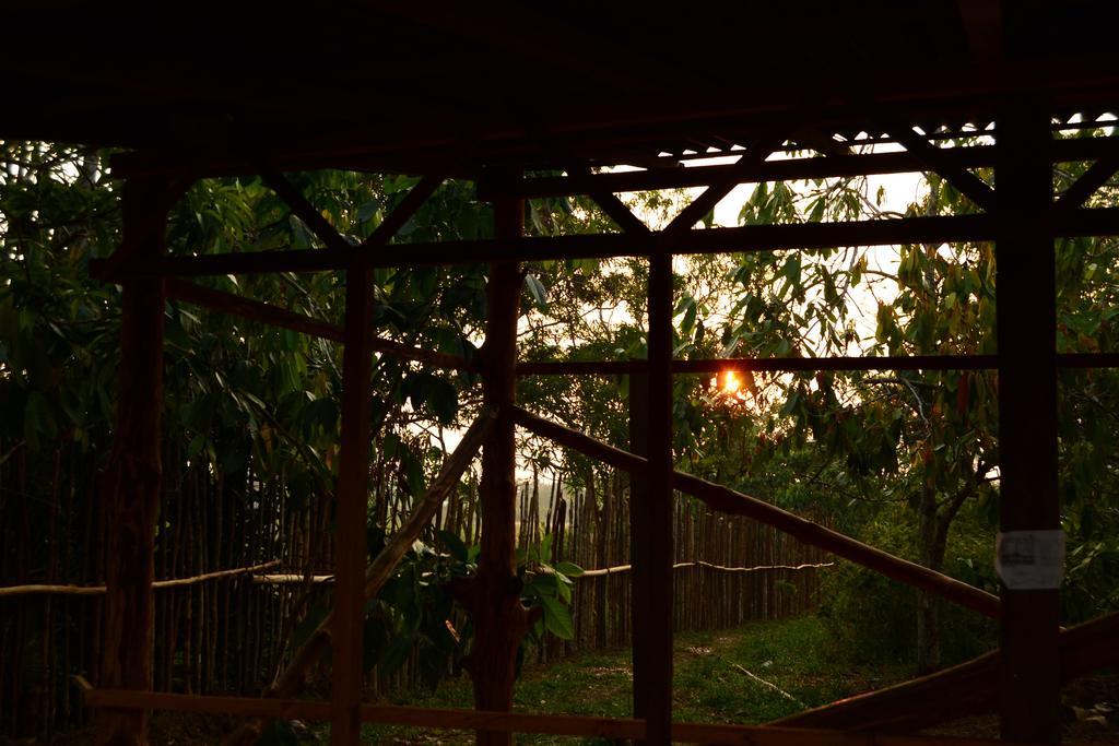 לטיסייה Xingu Camping Site מראה חיצוני תמונה
