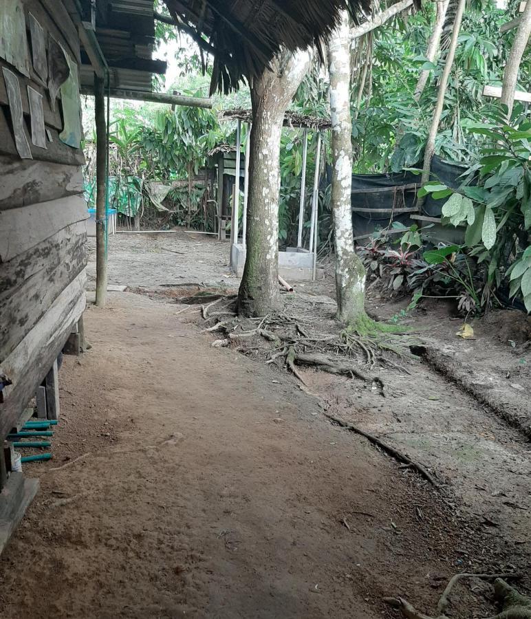 לטיסייה Xingu Camping Site מראה חיצוני תמונה